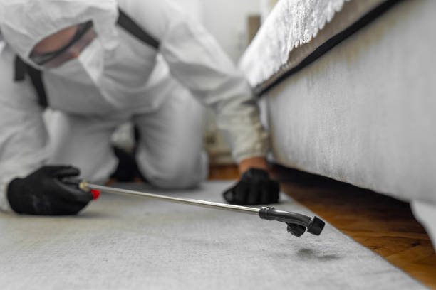 Professional Termite Control technician working in Leeds, AL