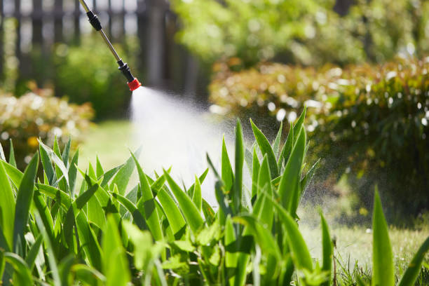 24/7 Emergency Termite Control experts in Leeds, AL